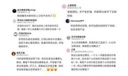 蚂蚁员工最新爆料,最新内部爆料揭示公司真实面貌”