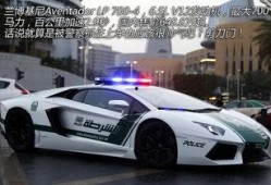 郑州警车爆料视频最新版,揭秘现场惊心动魄瞬间