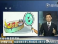 端游爆料最新消息新闻联播,新闻联播背后的游戏世界