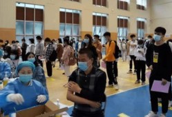 三农联盟爆料最新消息视频,揭秘农村发展新动态