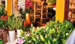 最新吃瓜爆料花店事件,揭秘最新吃瓜爆料背后的真相