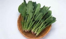 菠菜最新爆料视频播放,幕后真相大起底！