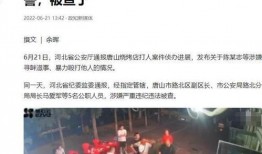 宜丰爆料小三案件最新,真相大白，原配与小三的激烈对决