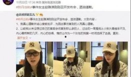 杨汝晴最新爆料新闻,揭秘娱乐圈惊人内幕