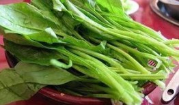 菠菜最新爆料视频播放,幕后真相大起底！