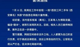 网红爆料司法案件最新消息,最新司法案件内幕揭秘