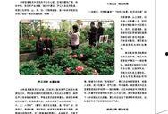 宁波爆料栏最新,揭秘近期热门事件背后的真相